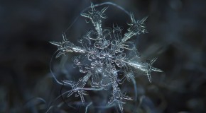 [Fotografía] Copos de nieve, un espectáculo fractal de Alexey Kljatov