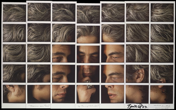 Fotografía - Maurizio Galimberti - Mosaicos polaroid - Benicio del Toro