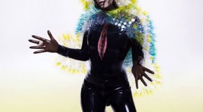 Björk – Vulnicura o la vuelta a los orígenes